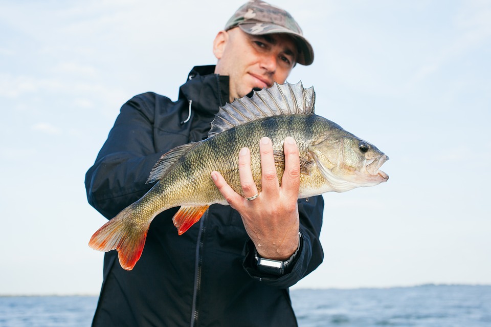 pêchez comme un professionnel